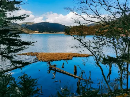 WagonBet Casinò App Mobile